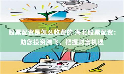 股票配资是怎么收费的 海北股票配资:助您投资腾飞,把握财富机遇