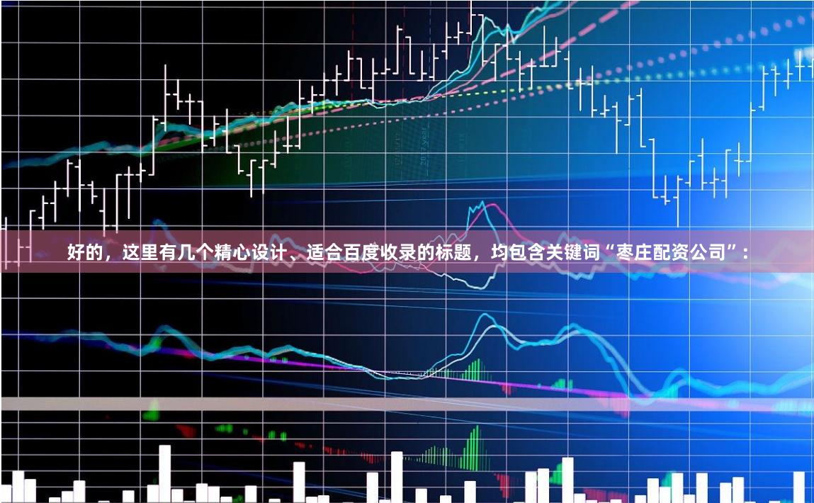 好的，这里有几个精心设计、适合百度收录的标题，均包含关键词“枣庄配资公司”：