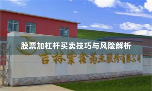 股票加杠杆买卖技巧与风险解析